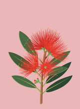 Laden Sie das Bild in den Galerie-Viewer, Pohutukawa Honig - 500g