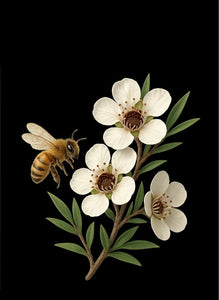 Manuka Honig MGO 263 (UMF 10+) - 250g